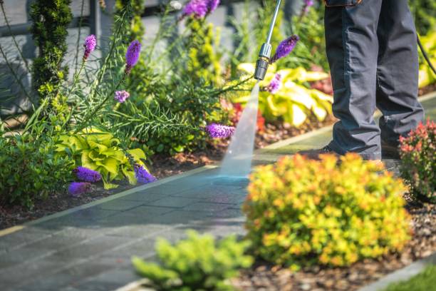 Best Boat and Dock Cleaning  in Villa Park, CA